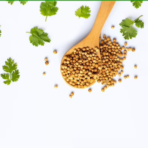 Coriander seed